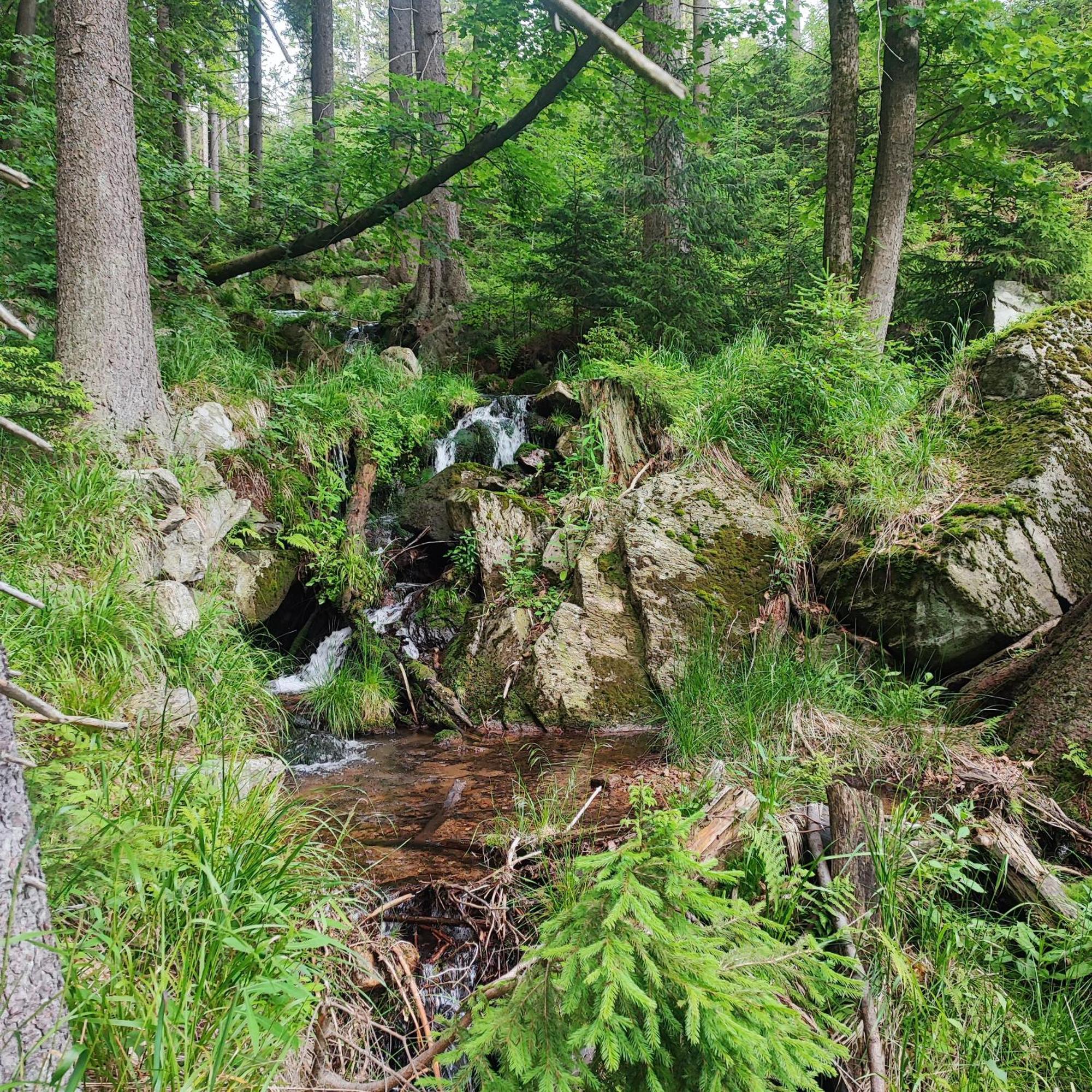 Willa Pod Dobrym Humorem Międzygórze Extérieur photo