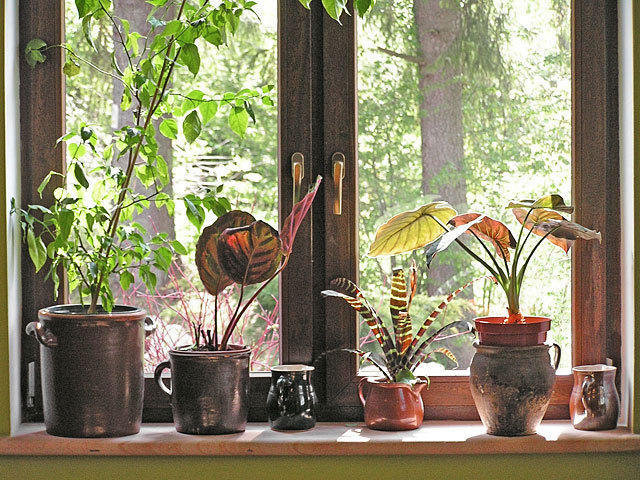 Willa Pod Dobrym Humorem Międzygórze Extérieur photo