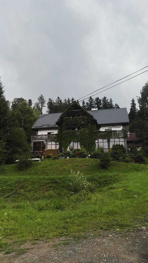 Willa Pod Dobrym Humorem Międzygórze Extérieur photo